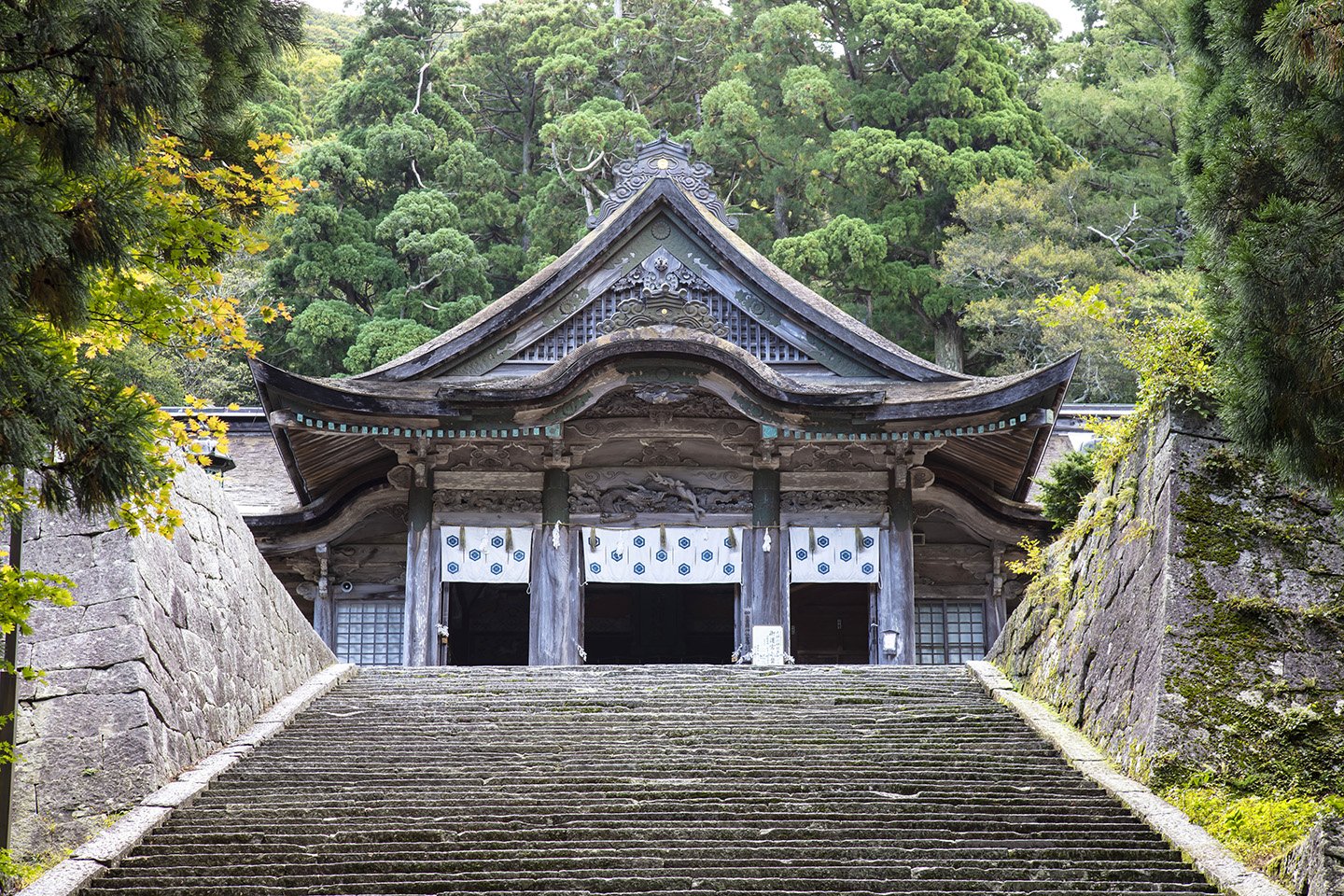 🌳 오노야마 공원(오우노야마 코엔) 이미지 7
